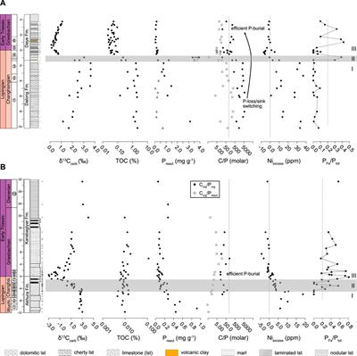 Phosphorus Cycle and Primary Productivity Changes in the Tethys Ocean During the Permian-Triassic Transition: Starving Marine Ecosystems